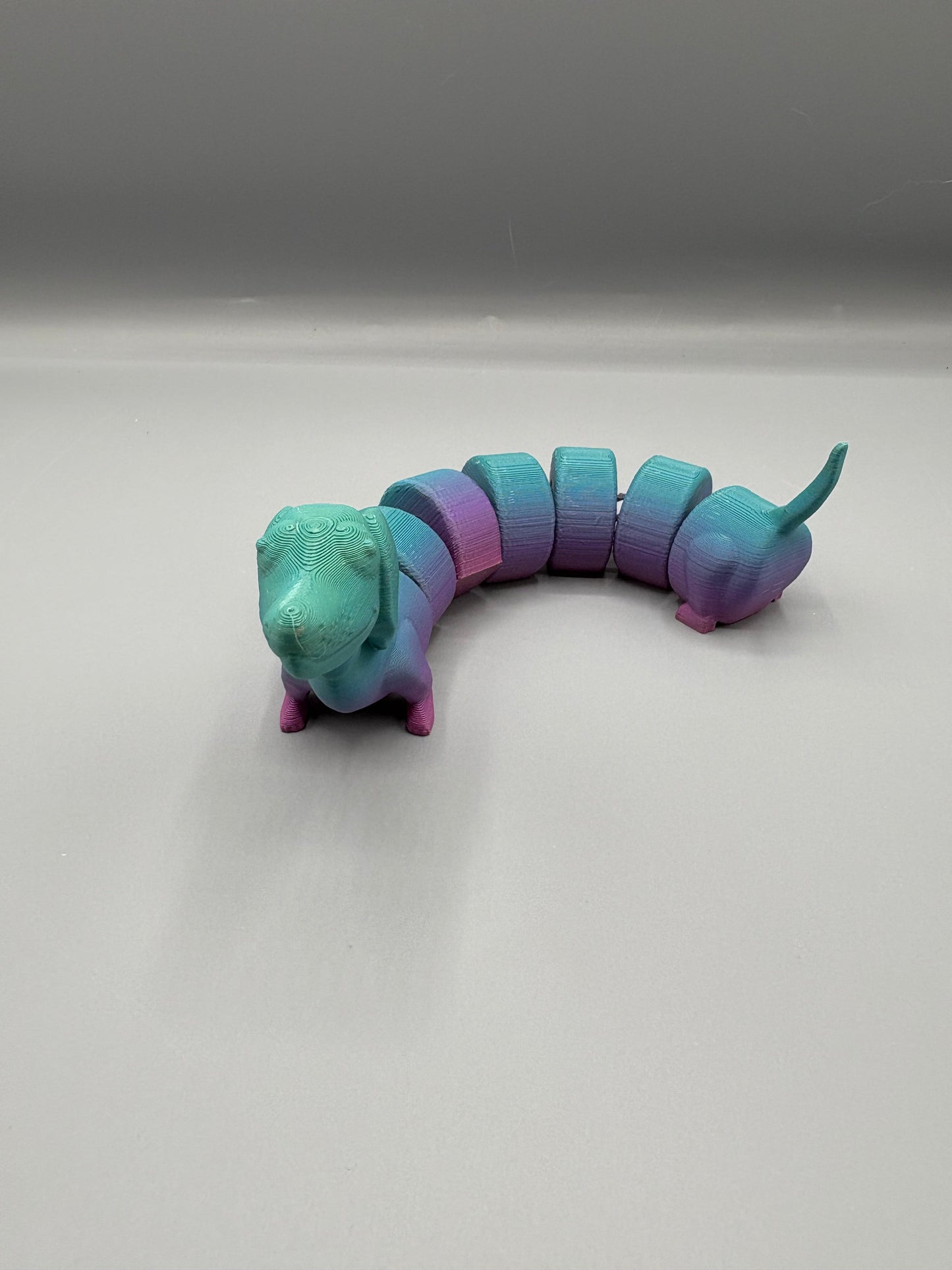 Articulated Dachshund