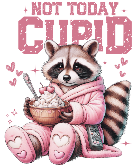 Not Today Cupid Raccoon