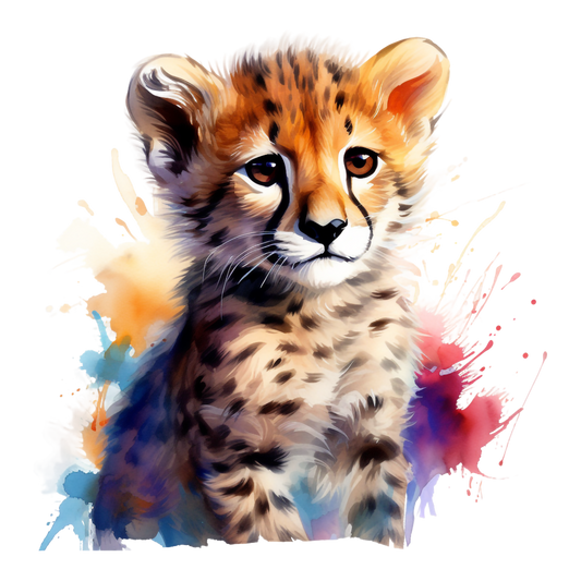 Baby Cheetah